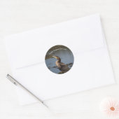 Sticker Rond Cormorant à double poitrine (Enveloppe)