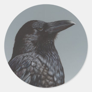 Sticker Rond Corneille