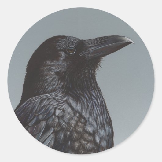 Sticker Rond Corneille (Devant)