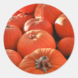 Sticker Rond Correctif citrouille
