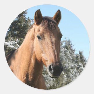 Sticker Rond Corse d'hiver