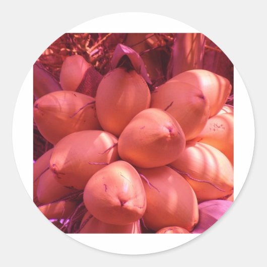 Sticker Rond cos en couleur (Devant)