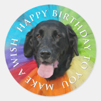 Costumé Black Lab Joyeux anniversaire