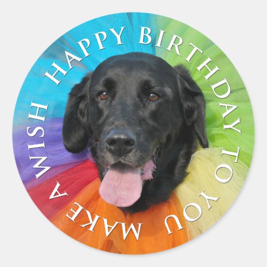 Sticker Rond Costumé Black Lab Joyeux anniversaire (Devant)