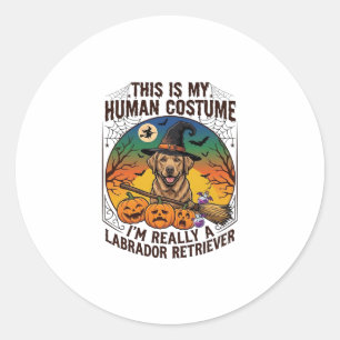 Sticker Rond Costume Humain Labrador Retriever Sorcière d'Hallo