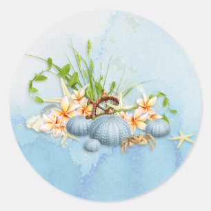 Sticker Rond Côte Bleu Urchin Floral