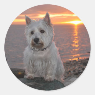Sticker Rond Coucher de soleil de Westie