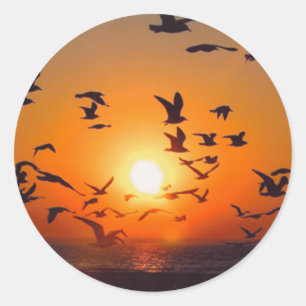 Sticker Rond Coucher de soleil sur le lac Érié