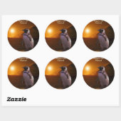 STICKER ROND COUCHER SOLEIL PENGUIN (Feuille)