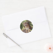 Sticker Rond Cougar 001 (Enveloppe)