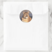 Sticker Rond Couleur (Sac)