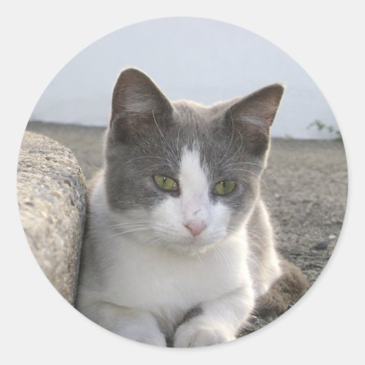 Sticker Rond "Couleur de bourgeon" (Devant)