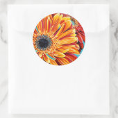 Sticker Rond Couleurs éclatées II (Sac)