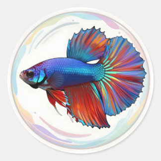 Sticker Rond Courant iridescent – Art du poisson combattant Cla