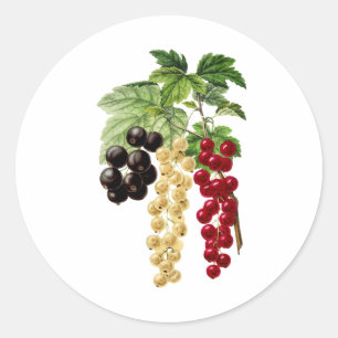 Sticker Rond Courants rouge, blanc et noir