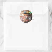Sticker Rond course métallique mixte pour gâteau (Sac)