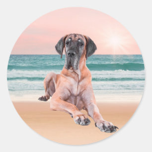 Sticker Rond Coutume Grand Chien Danse assis sur la plage