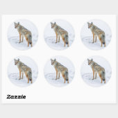 Sticker Rond Coyote en alerte dans la neige (Feuille)