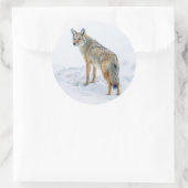 Sticker Rond Coyote en alerte dans la neige (Sac)