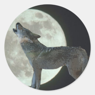 Sticker Rond Coyote Howling sur la lune