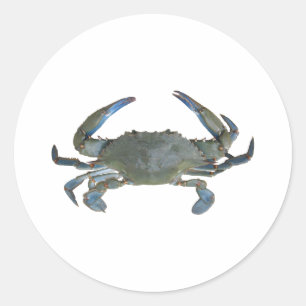 Sticker Rond Crabe bleu "Jimmy"