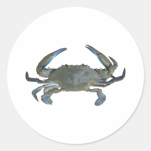 Sticker Rond Crabe bleu "Jimmy" (Devant)