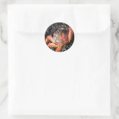 Sticker Rond Crabe des Galapagos (Sac)