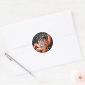Sticker Rond Crabe des Galapagos (Enveloppe)