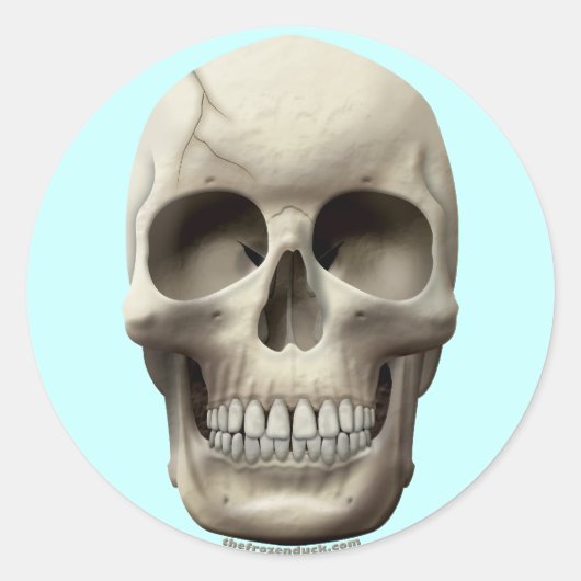 Sticker Rond Crack (Devant)