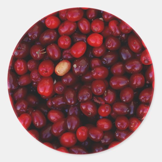 Sticker Rond Cranberry (Devant)