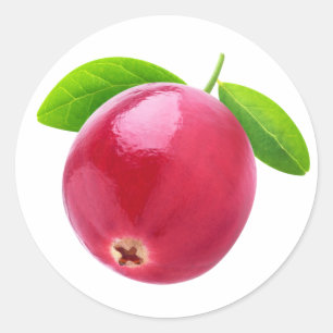 Sticker Rond Cranberry