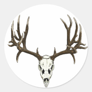 Sticker Rond Crâne de cerfs communs de mule