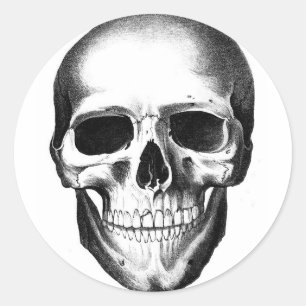 Sticker Rond Crâne Skeleton Tête Effrayant Halloween Déplaisant