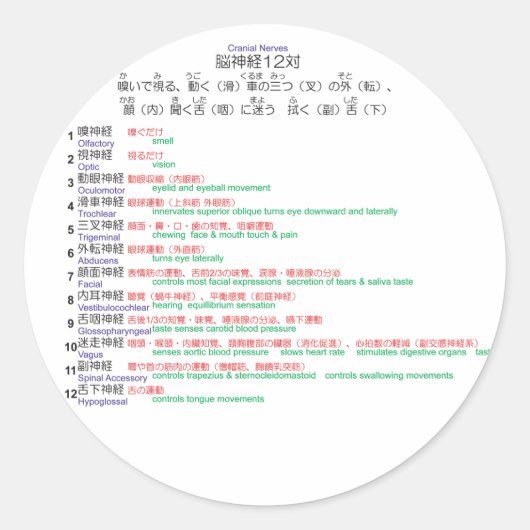 Sticker Rond Cranial Nerves japonais 12 (Devant)