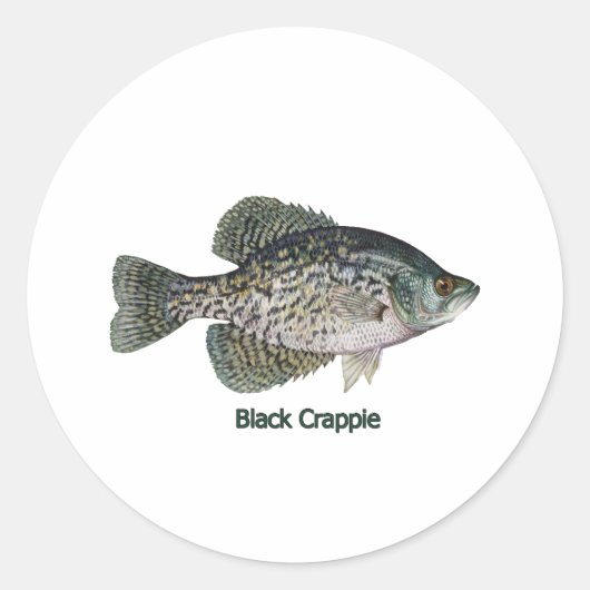 Sticker Rond Crappie noire (titre) (Devant)