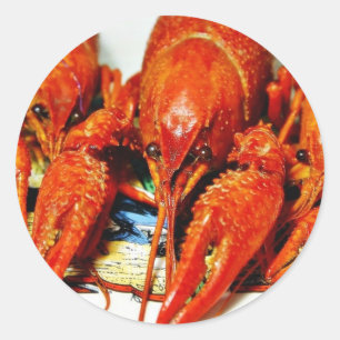 Sticker Rond Crawdads Craytfish d'écrevisses