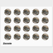 Sticker Rond Crawling de crabe bleu (Feuille)