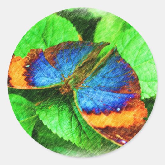 Sticker Rond Crayon papillon bleu (Devant)