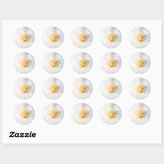 Sticker Rond Craze Dollar De Sable (Feuille)