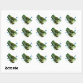 Sticker Rond crevettes (Feuille)