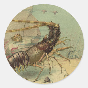 Sticker Rond Crevettes, faune marine sous-marine, animaux océan