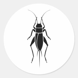Sticker Rond Cricket