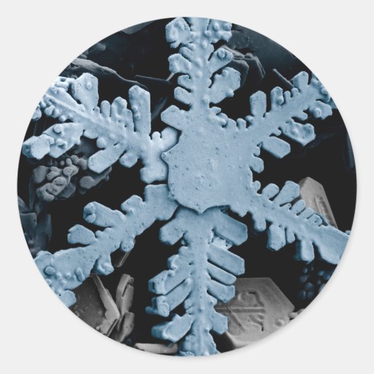 Sticker Rond Cristal de neige 2 (Devant)