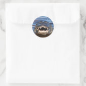 Sticker Rond Crocodile souriant (Sac)