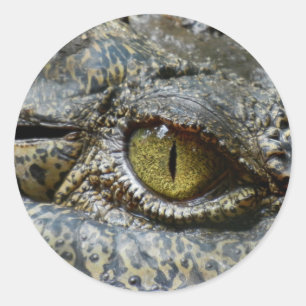 Sticker Rond crocodile visage animal personnalisation do-it-you