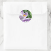 Sticker Rond Crocus de printemps violet (Sac)
