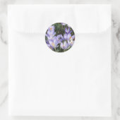 Sticker Rond crocus violets (Sac)