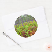 Sticker Rond Croissance du support commun (Pteridium Aquilinum) (Enveloppe)