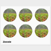 Sticker Rond Croissance du support commun (Pteridium Aquilinum) (Feuille)