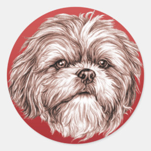 Sticker Rond Croquis de Shih Tzu